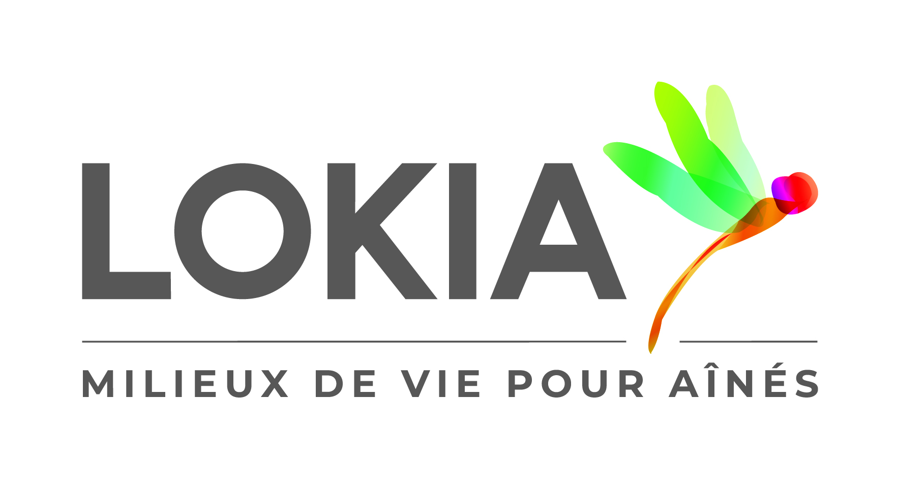 Groupe LOKIA