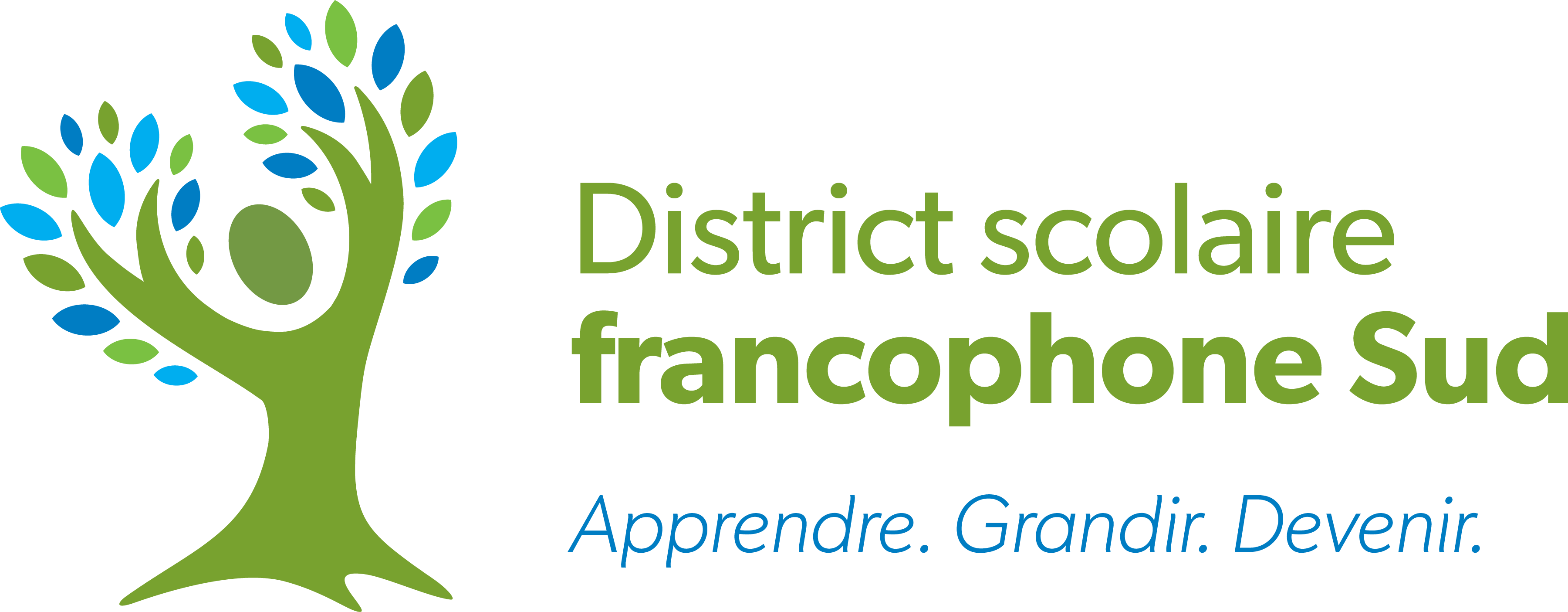 District scolaire francophone Sud