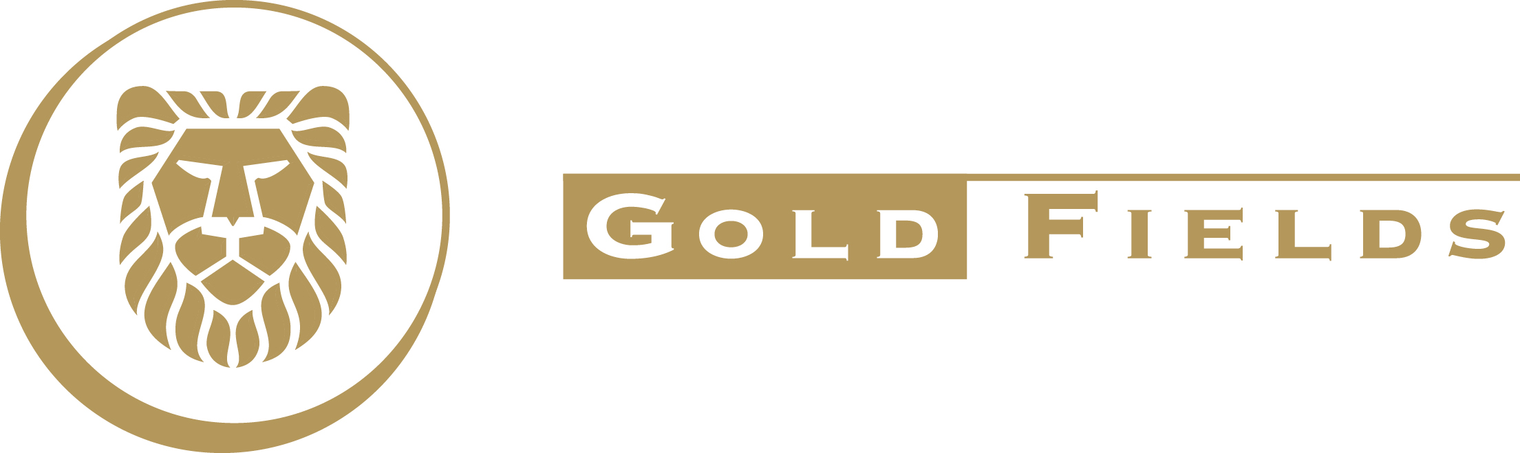 Gold Fields