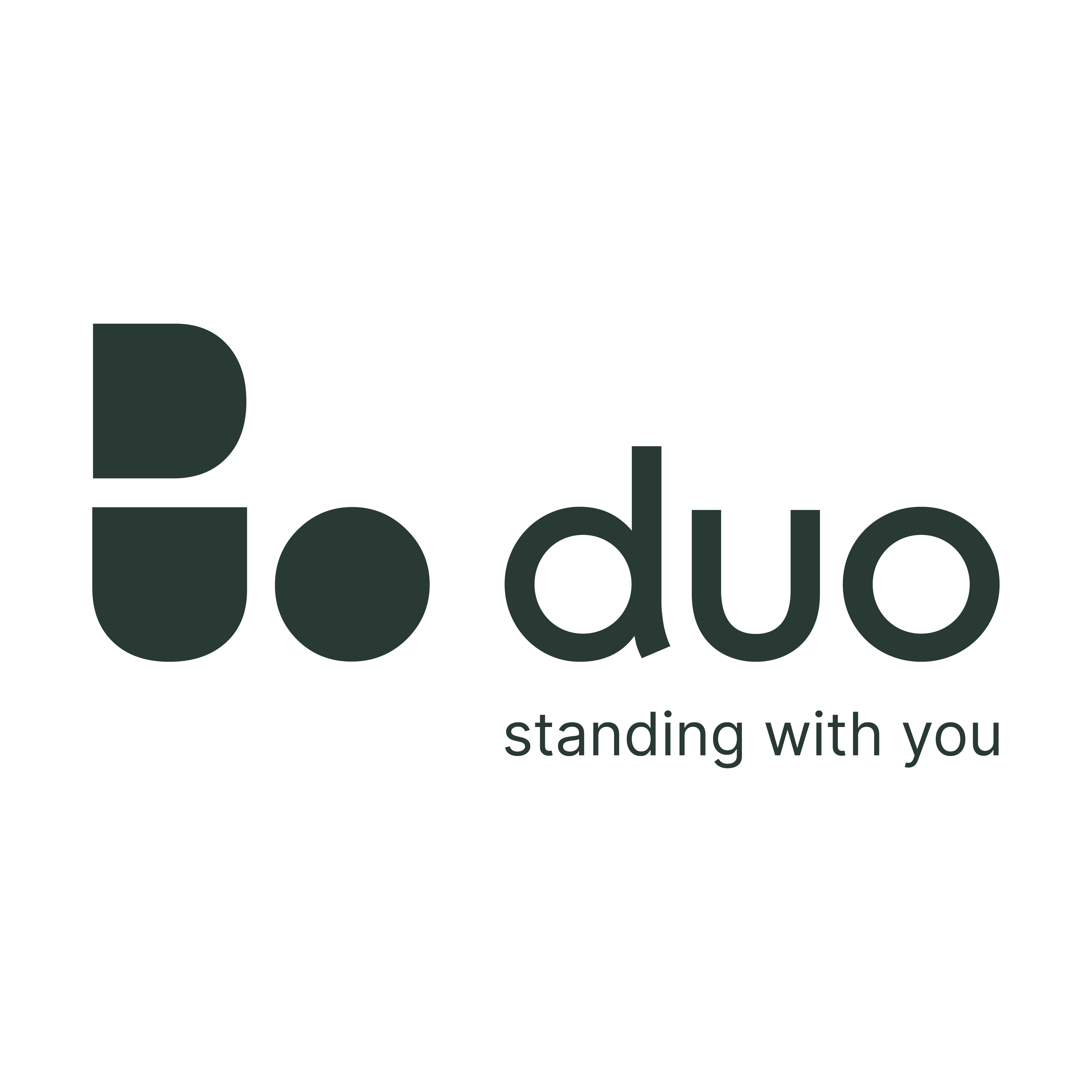 Duo Display
