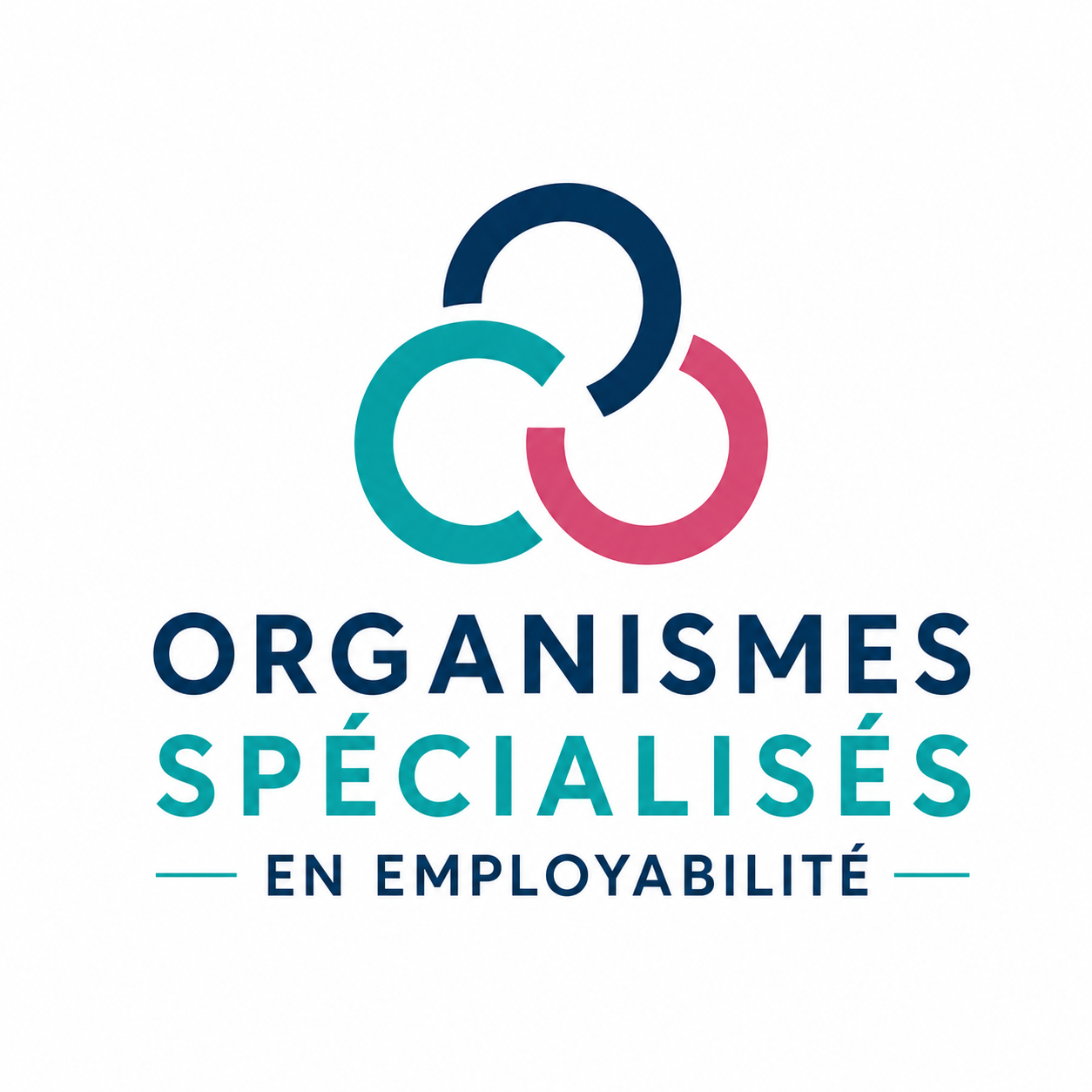 Organismes spécialisés en employabilité