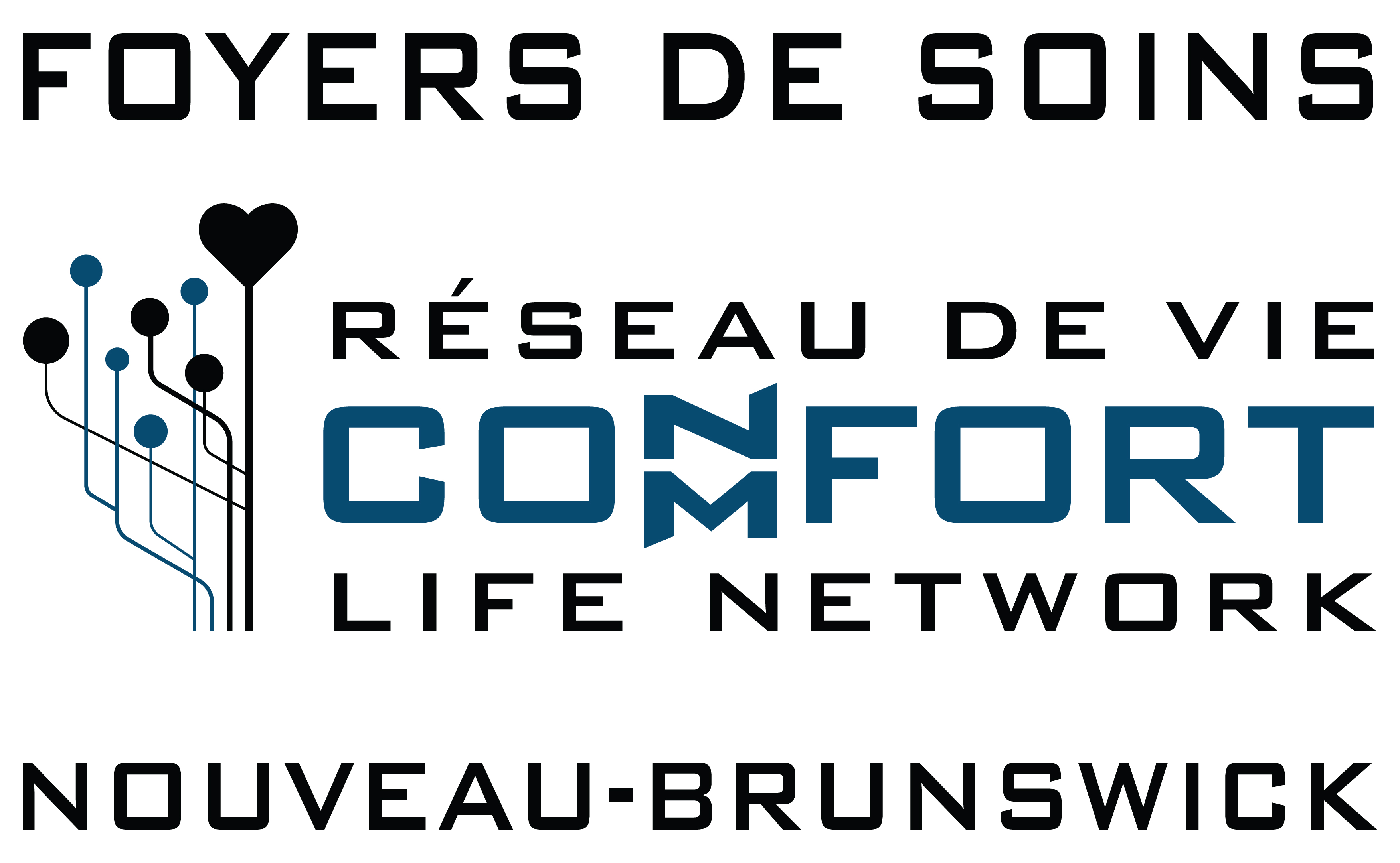 FOYERS SOINS RESEAU DE VIE CONFORT